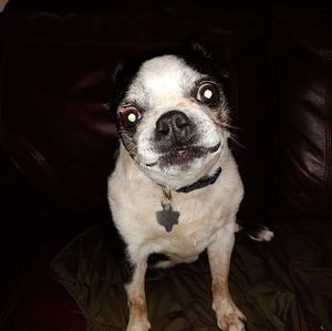 Meet your Posher, Donna